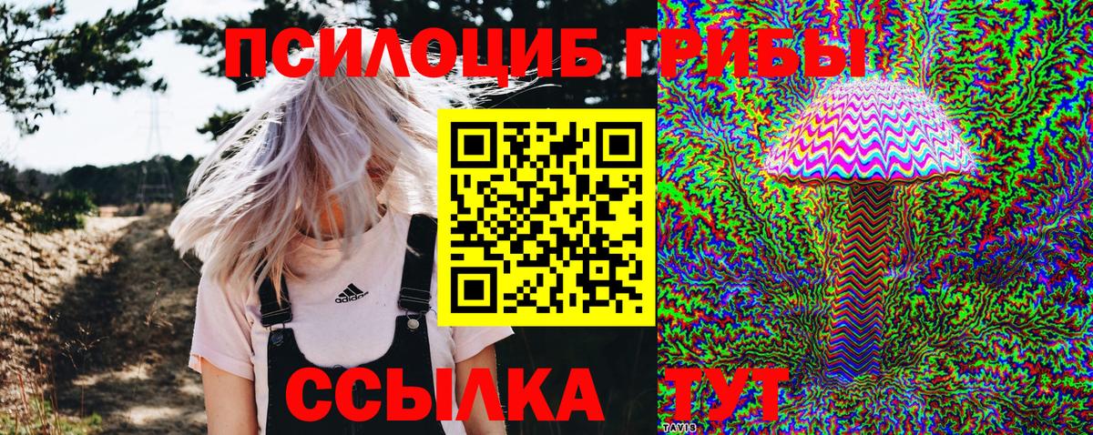 цена   Галлюциногенные грибы Psilocybine cubensis  Курчатов  Вход с VPN  Галлюциногенные грибы мицелий 